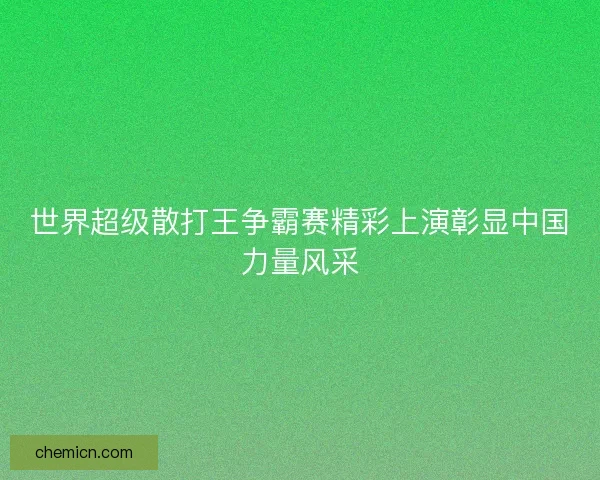 世界超级散打王争霸赛精彩上演彰显中国力量风采
